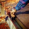 GUTTER CLEANING SERVICE